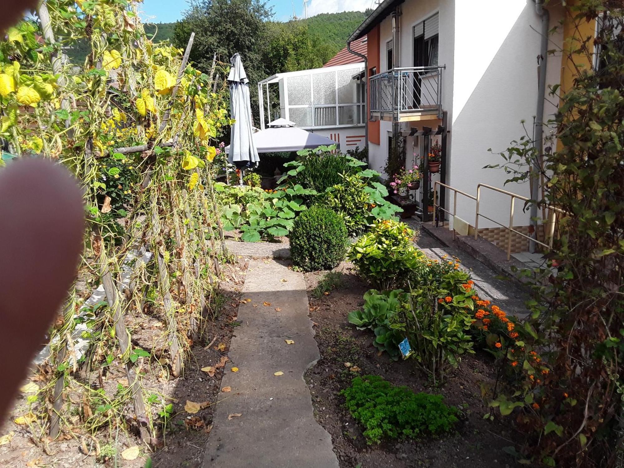 Haus Kallin Idar-Oberstein Kültér fotó